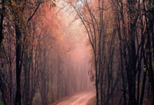 夺冠门道！中国足球联赛球队的夺冠秘诀