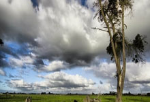 豪门球队在比赛中展现强大实力：从技战术到精神领袖的全方位统治