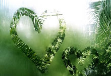 新赛季首战，双方实力对比让人期待