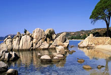 爱尔兰赢球法国，冲刺小组晋级目标